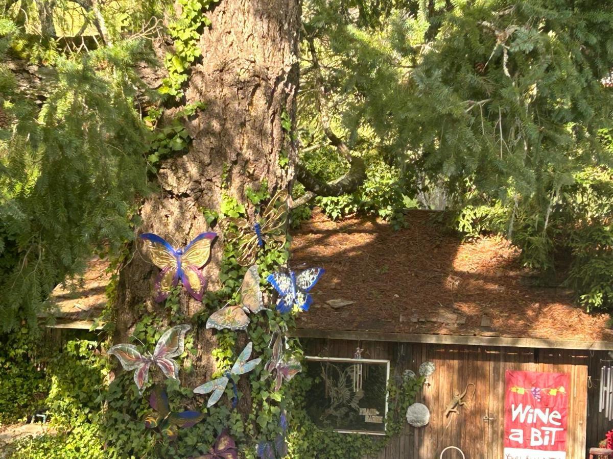 칼리스토가 Foothill House B&B 외부 사진